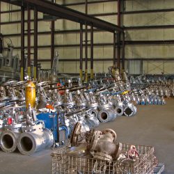 Williams-Velan-Kitz-Powell-valves